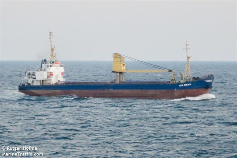 Vessel Chartering & Broking - Dry Bulk - Tanker - RORO - LPG - Bitumen