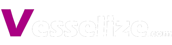 vesselize logo